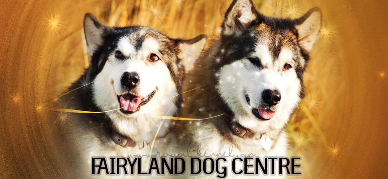Fairyland Dog Centre - The world of show dogs